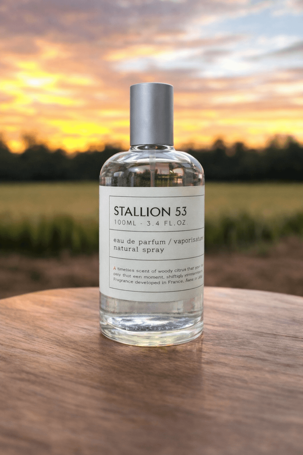 STALLION 53, EDP